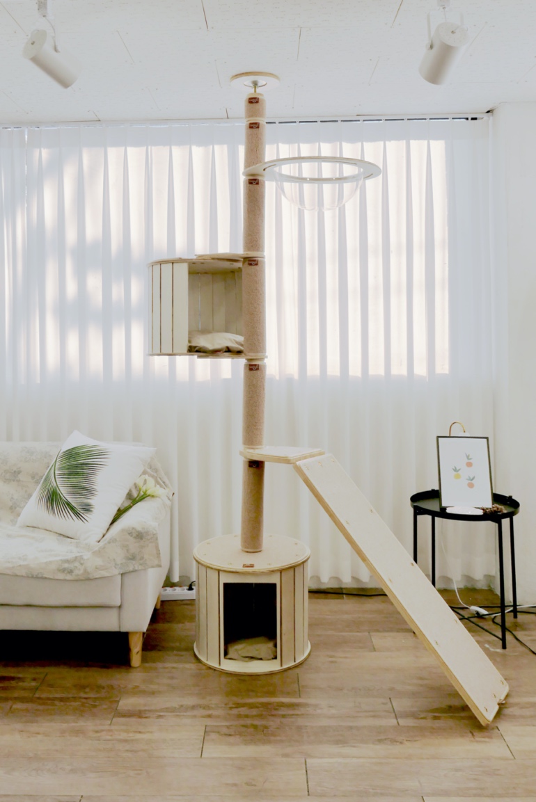 A cat tree in a room Description automatically generated with medium confidence